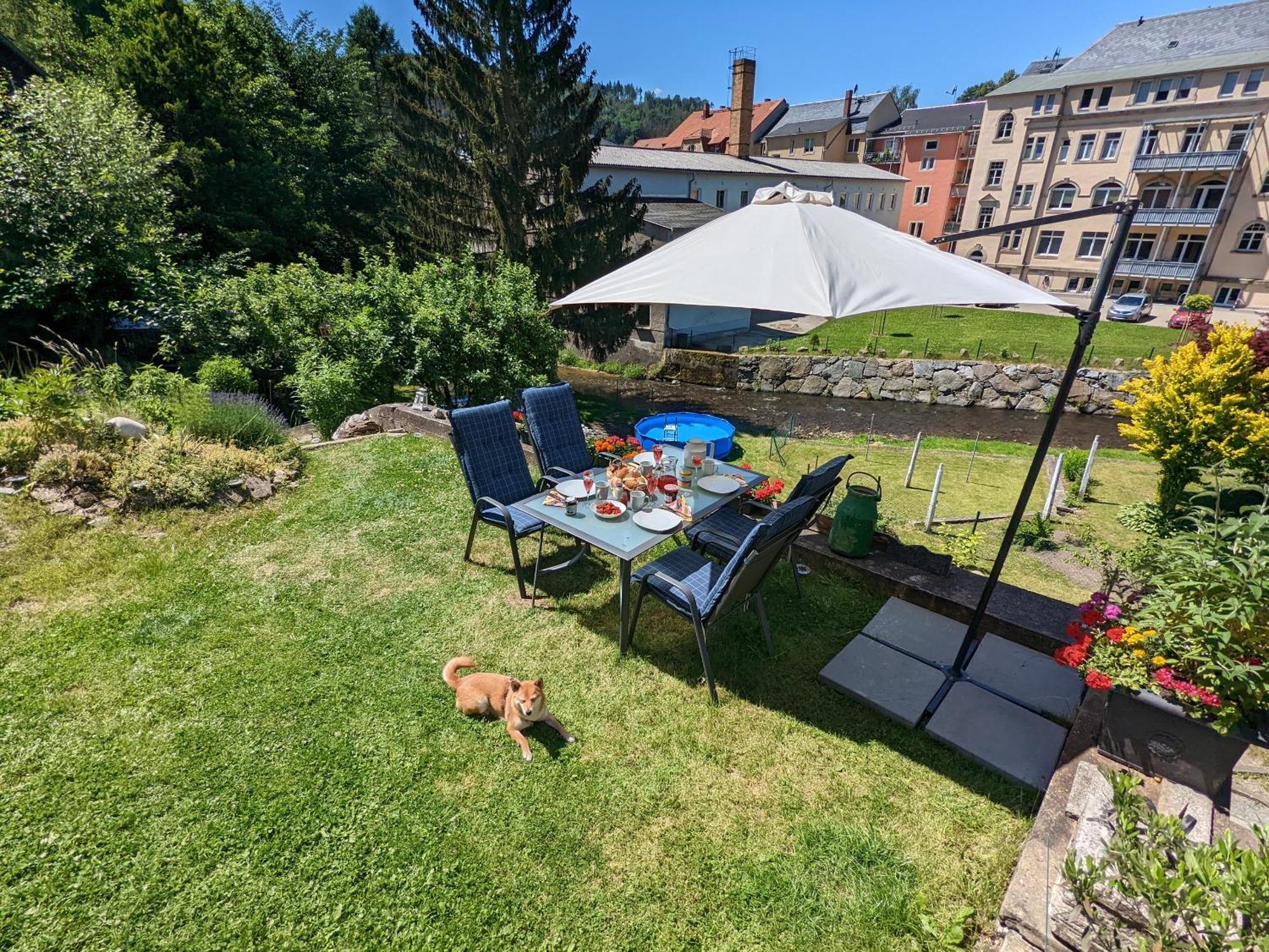 Apartamento Zi2 - Urlaubsmagie - Whirlpool, Sauna Und Garten Sebnitz Exterior foto