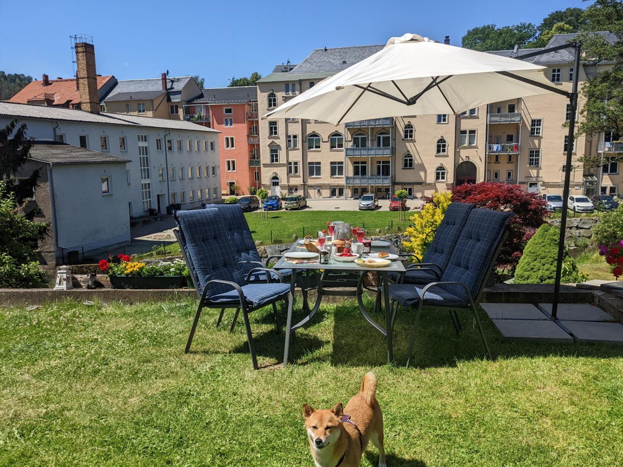 Apartamento Zi2 - Urlaubsmagie - Whirlpool, Sauna Und Garten Sebnitz Exterior foto